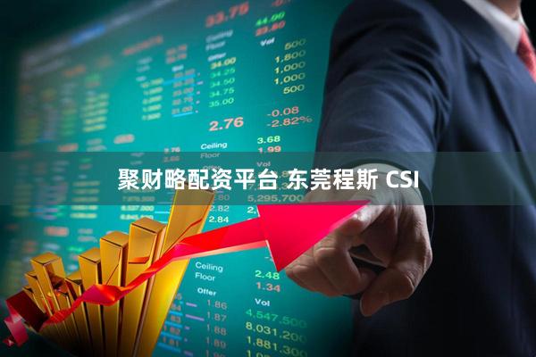 聚财略配资平台 东莞程斯 CSI