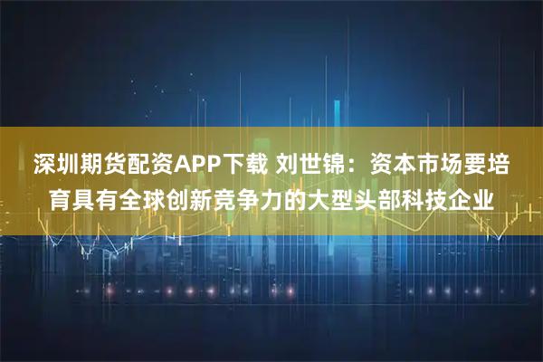 深圳期货配资APP下载 刘世锦：资本市场要培育具有全球创新竞争力的大型头部科技企业